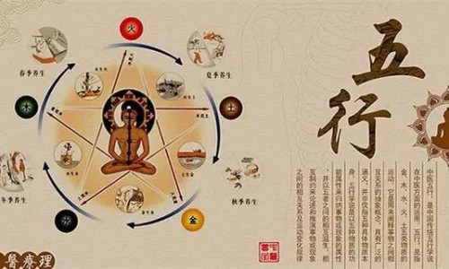 柴胡是管什么毛病柴胡-权威柴胡症到底属于什么病平台,分享专业柴胡病是什么症状知识_柴胡病是什么症状网